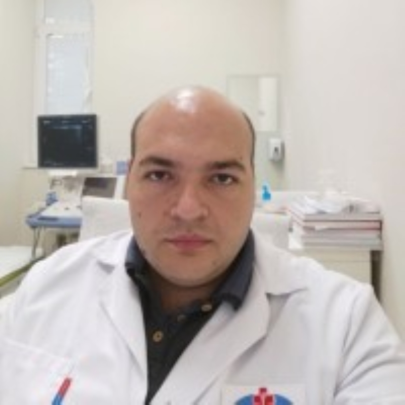 Prof. dr Miloš Gašić